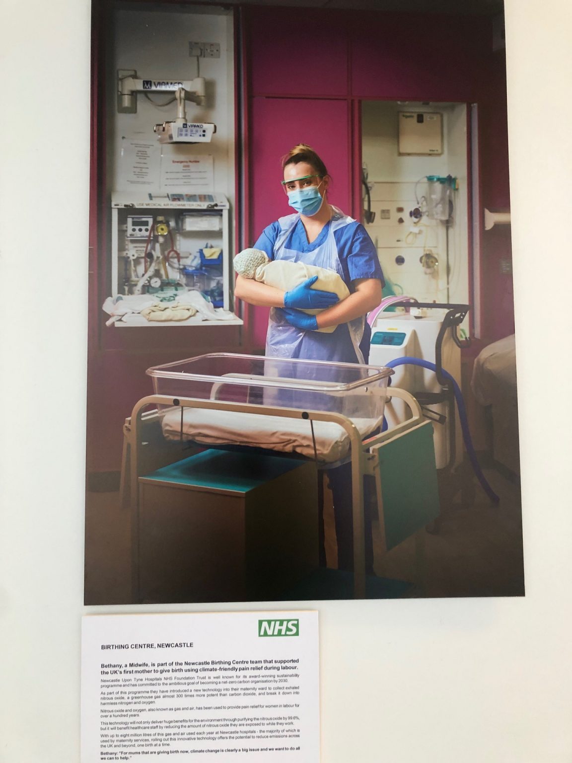 Newcastle Hospitals First Nhs Trust To Host Greener Healthcare Photography Exhibition