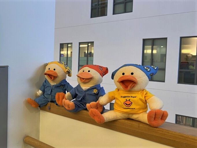 Chemo Duck stuffed toys a in a row at the Great North Children's Hospital