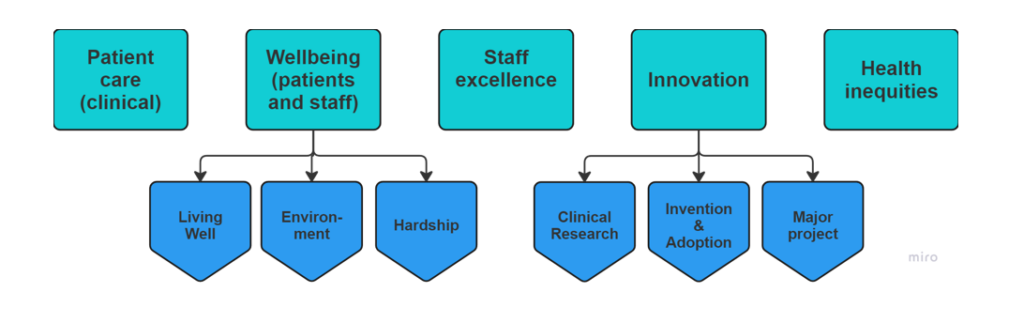 Image of the 5 themes that are explained under the image: Patient care (clinical), wellbeing (patients and staff), staff excellence, innovation, health inequities.